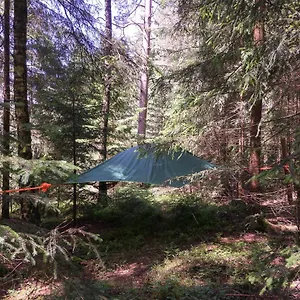Baumzelt Im Wald Frühstückspension